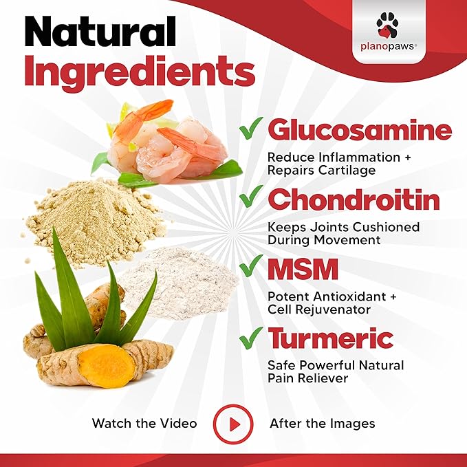 Glucosamine for Dogs Hip and Joint Supplement - Safe Joint Support - Glucosamine Chondroitin MSM Turmeric - 120 Mobility Joint Care Chews for Dogs - ActivTreats for All Breeds Ages and Sizes.