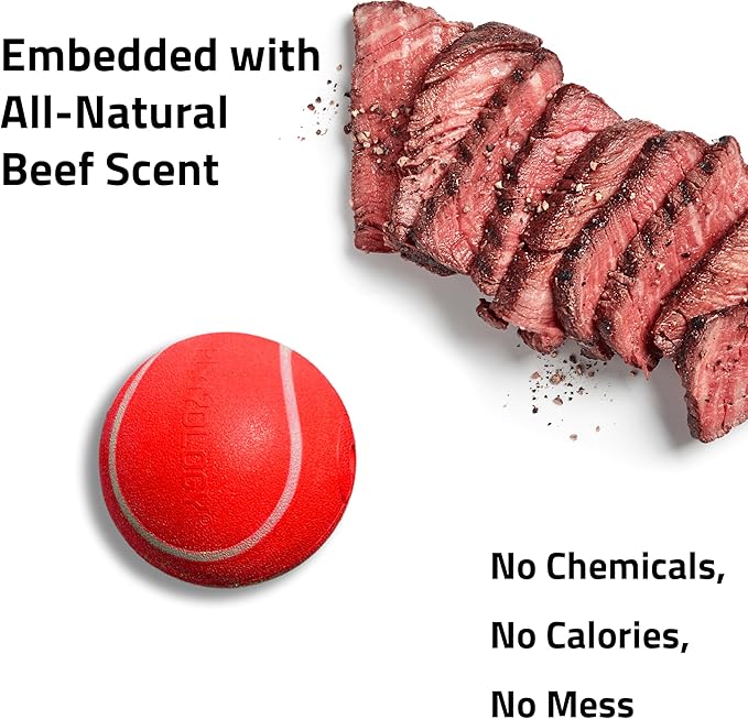 Playology Dog Toys | Squeaky Chew Ball - Bouncy Durable Floating Fetch Ball for Dogs | Jumbo Beef Scented Toy - Easy to Clean and Made from Non Toxic Materials