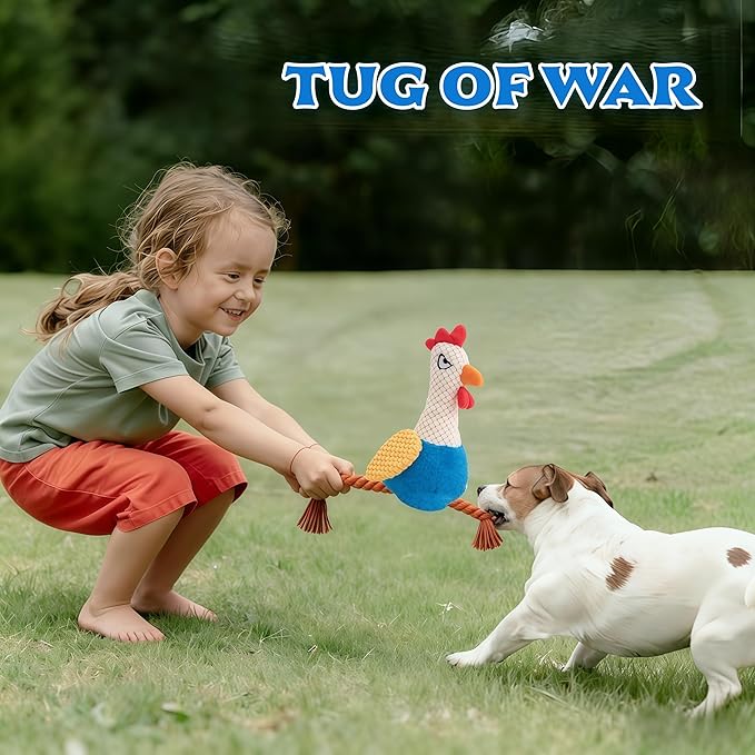 Plush Rooster Dog Toy with Squeaker, Interactive Rope Legs, Colorful Textured Chew Toy for Small, Medium Dogs, Tug-of-War, Fetch
