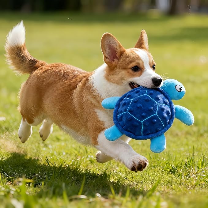 Squeaky Sea Turtle Plush Dog Toy – Durable, Stuffing-Free Interactive Chew Toy for Small Dogs – Relieves Anxiety & Teething – Keeps Puppies Busy, No Mess, Perfect for Indoor Play (Blue)