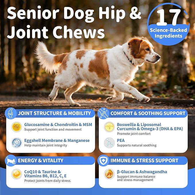 Senior Dog Joint Supplement, 17-in-1 Glucosamine for Dogs with Chondroitin, MSM, Pea, CoQ10, Omega-3, Hip and Joint Chews for Dogs – Beef Flavor – 90 Soft Chews – for All Breeds & Sizes