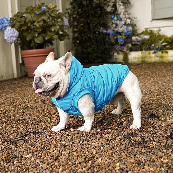 Fleece Lining Extra Warm Dog Hoodie in Winter for Large Dogs Jacket Pet Coats with Hooded,Light Blue XXXL