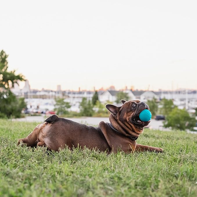 Chew King Flavored Rubber Ball Collection, 2.5 Inch Peanut Butter Flavor Rubber Balls 3-Pk