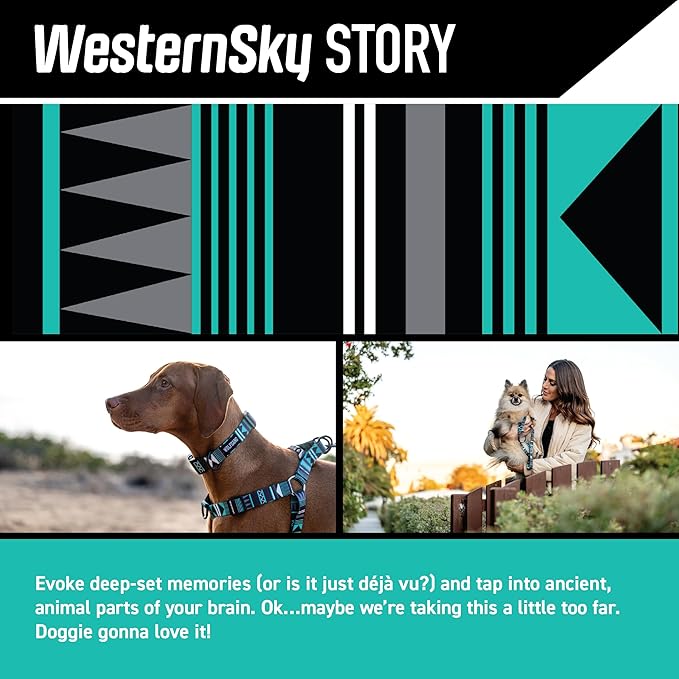 Wolfgang Heavy Duty Martingale Dog Collar with Quick Release Nylon Buckle for Walking & Training, WesternSky Print, X-Large