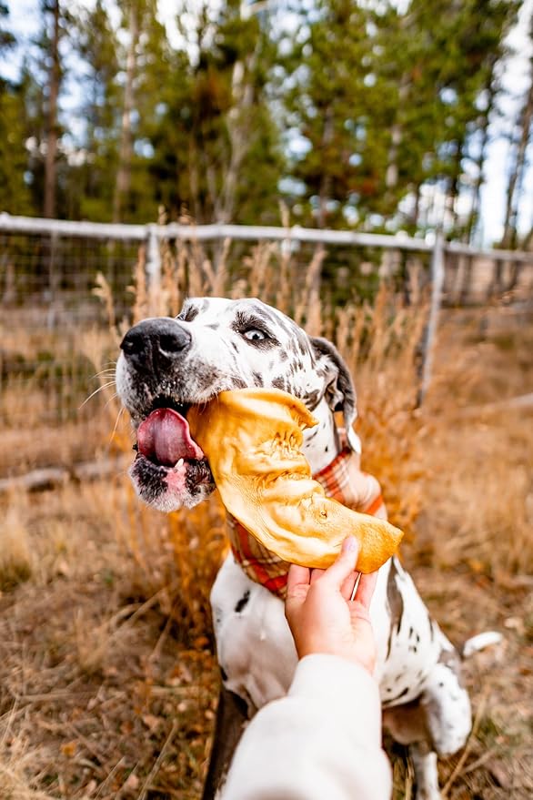 Redbarn Premium Cow Ears for Dogs – 9 Count – All-Natural, Single-Ingredient Chews – Healthy, Low Fat and Highly Digestible, Alternative to High-Calorie Treats & Snacks