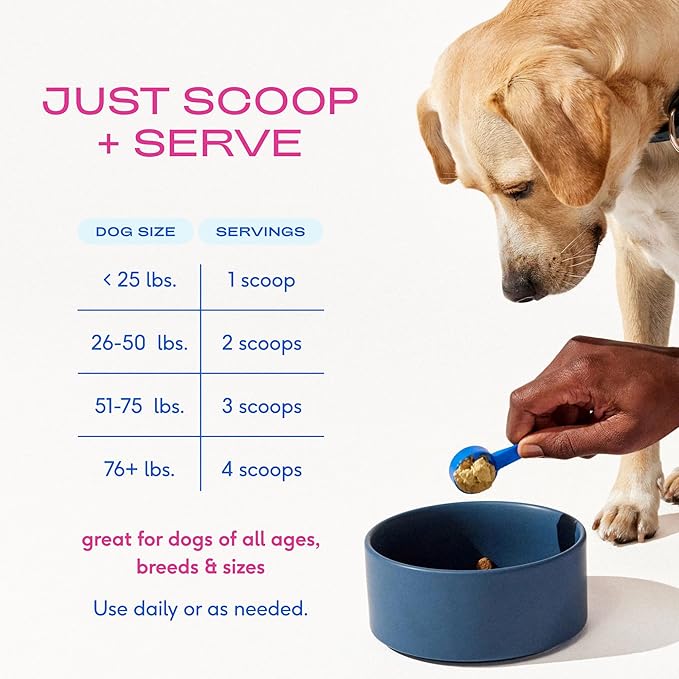 Native Pet Advanced Care - Hip & Joint Supplement for Dogs - Supports Joints, Cartilage, Muscles & Anti-Inflammatory with HMB, UC-II Collagen, Green Lipped Mussel & Hyaluronic Acid - 30 Scoops