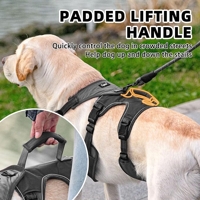 PUPTECK Escape Proof Dog Harness and Leash Set Upgraded No Pull Reflective Dog Vest with Lift Handle, Easy Control Pet Harness for Medium Large Dogs Training Walking Running