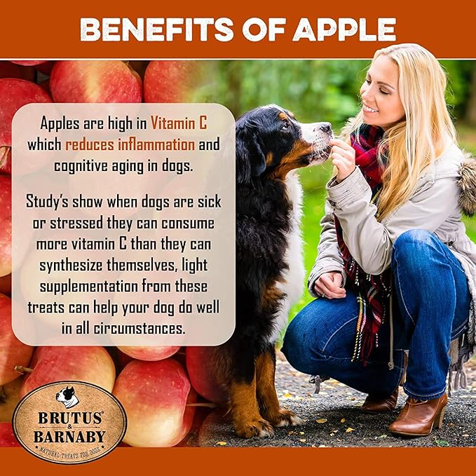 BRUTUS & BARNABY USA Sweet Potato Dog Treats - Crunchy Grain Free Cinnamon Apple Sticks, Promotes Positive Gut Health with Natural Anti-Diarrhea Properties (Cinnamon & Apple, 8 oz)