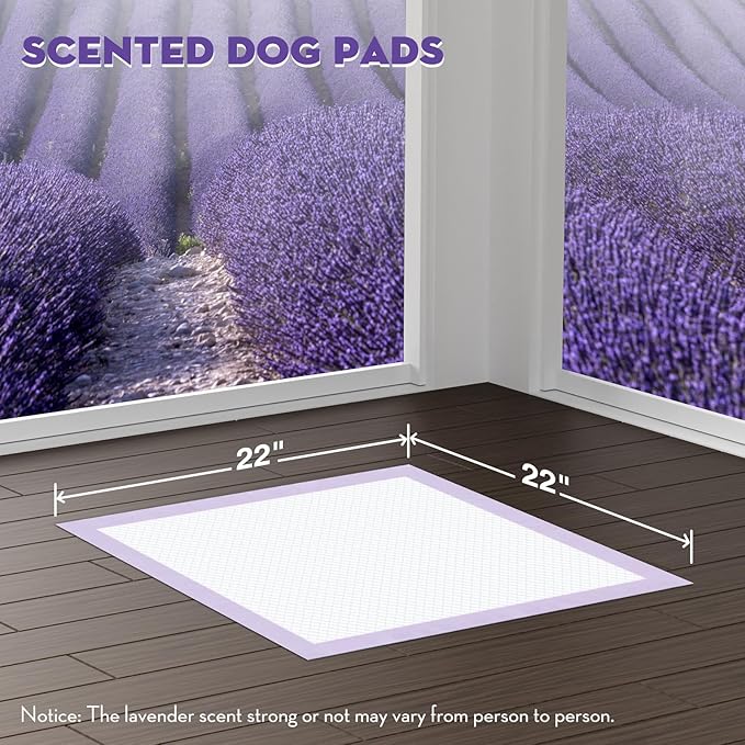 CROCI Puppy Pads 22x22in Small with Adhesive Tabs, Dog Pee Pads Absorbs Up to 3 Cups Potty Training, Disposable (100 Counts)