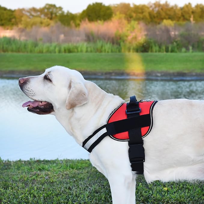 Dogline Dog Harness, Reflective No-Pull Adjustable Vest with Handle for Walking, Training, Service Breathable No - Choke Harness for Small, Medium or Large Dogs Room for Patches Girth 33"-46" in Red