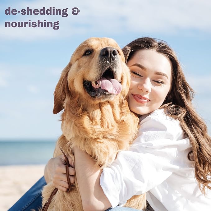 Mighty Mutt Shed Control Shampoo – Deshedding Dog Shampoo | Fresh Scent | Softens & Nourishes Coat | Reduces Shedding | Hypoallergenic, Anti-itch Dog Shampoo Shedding Control – Fresh Breeze | 16 fl oz