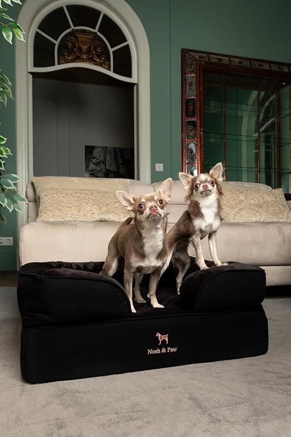 NOAH & PAW Dog Bed, 28x23x11 Inch, Orthopedic Dog Beds for Medium Size Pets, Eggshell Memory Foam Infused with Cooling Gel, Inner Cover, Waterproof, Machine Washable (Denim Sofa Collection)