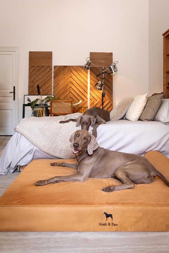 NOAH & PAW Giant Dog Bed XXL 55x45x9.5 Inch, Orthopedic Dog Beds, Eggshell Memory Foam Infused with Cooling Gel, Waterproof, Machine Washable, Includes Inner Cover (Faux Leather)