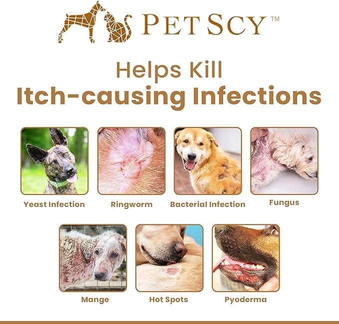 Petscy Travel Keto Skin Wipes - Antiseptic Dog Wipes for Paws, Ears, Facial Folds, Underarms & Other Sensitive Areas for Dogs & Cats – Aloe-Infused, Non-Greasy Formula - 50 Wipes