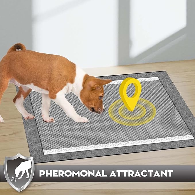 CROCI Puppy Pee Pads 22"x22" Charcoal Pee Pads, Odor-Control Charcoal Puppy Pads & Super Absorbent Dog Pads Holds Up to 4 Cups of Urine, Leak-Proof & Quick-Dry Dog Pee Pads, Disposable (50 Counts)