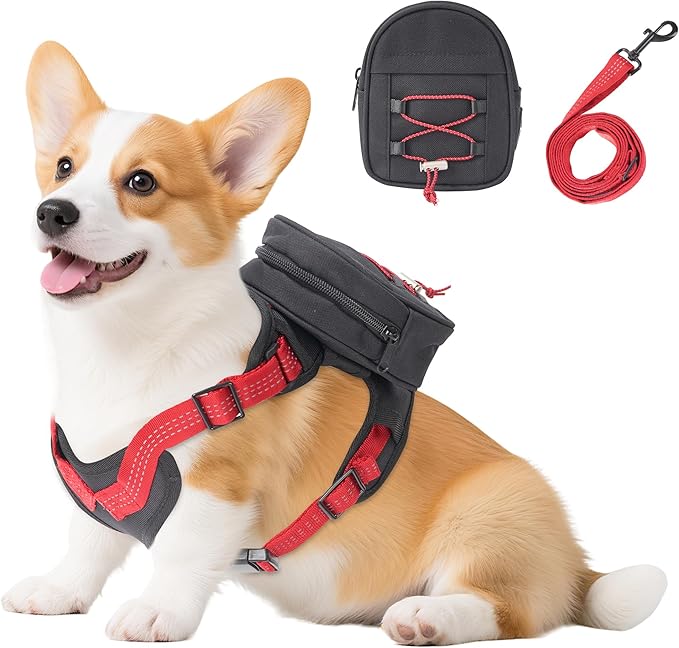 Dog Backpack Harness for Small and Medium Dogs, Adjustable Lightweight Carrier with Detachable Backpack and Leash, Water Resistant for Hiking, Training, and Daily Walks, M