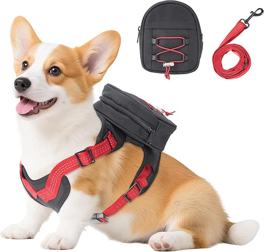 Dog Backpack Harness for Small and Medium Dogs, Adjustable Lightweight Carrier with Detachable Backpack and Leash, Water Resistant for Hiking, Training, and Daily Walks, M