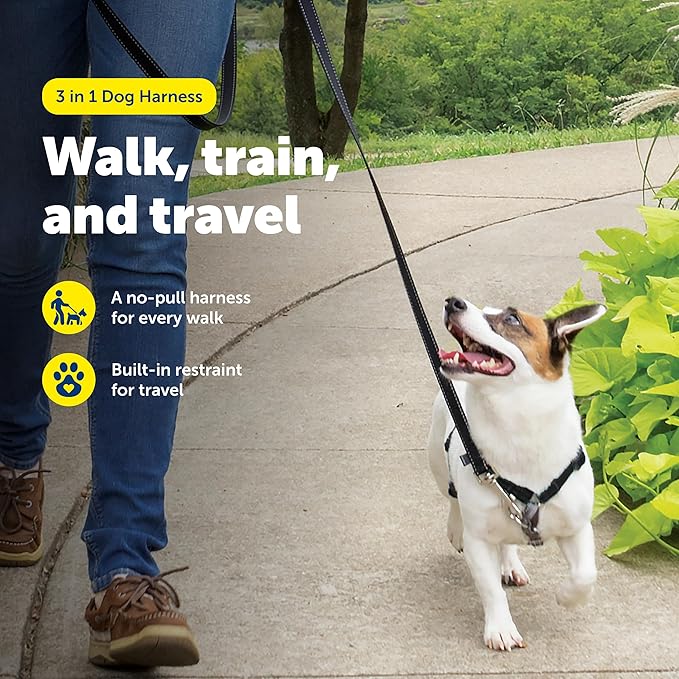 PetSafe 3-in-1 Harness - Comfortable Easy-Walk Dog Chest Harness with Front Leash Attachment to Reduce Pulling, Choking & Gagging - Dog Obedience Gear - Small - Black