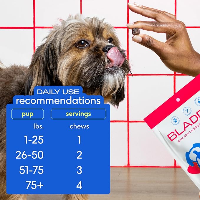 Native Pet Dog UTI Treatment - Cranberry Supplement for Dogs Bladder Control & Kidney Support - Prevent Urinary Tract Infection and Urinary Incontinence - Made with Real Cranberry Extract - 60 Chews