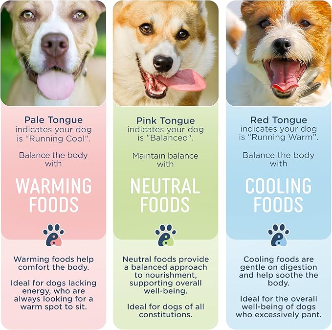 Side by Side Chicken & Lamb Stew - Warming Wet Dog Food & Dog Food Topper for All Breeds - Made with Nutrients & Whole Raw Ingredients - No Artificial Additives or Fillers - (12.5 oz, 12-Pack)