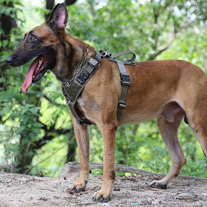 ICEFANG Dog Strap Harness with 4 x Metal Buckles,for X-Large Sized Dog,K9 Vest,Y-Shape Chest,Adjustable Pet Harness,No-Pull Front Leash Clip (X-Large (Pack of 1), Green)