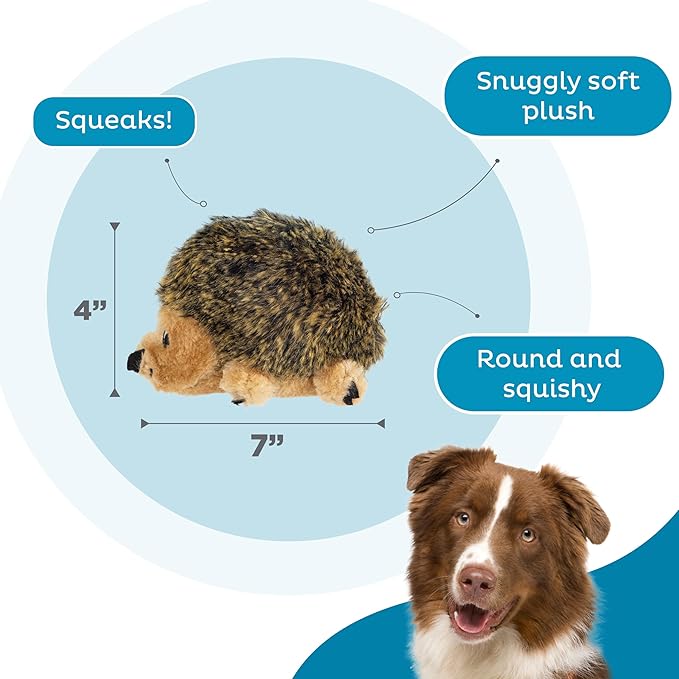 Outward Hound Hedgehogz Plush Dog Toy, Small