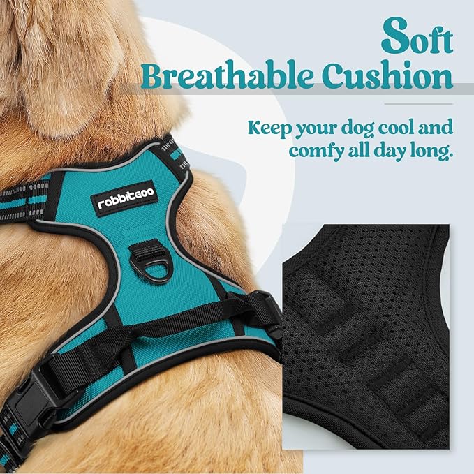 rabbitgoo Dog Harness No Pull with 2 Leash Clips, Adjustable Soft Padded, Reflective Oxford No Choke Pet Vest with Easy Control Handle for Small Dogs, Teal, S