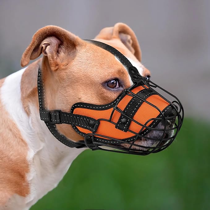 OOPSDOGGY Pitbull Dog Muzzle Reflective Metal Mask Secure Wire Basket Muzzle for Large Sized Dogs Amstaff Soft Cage Muzzle to Prevent Biting Chewing with Adjustable Nylon Straps (Orange, Pitbull)