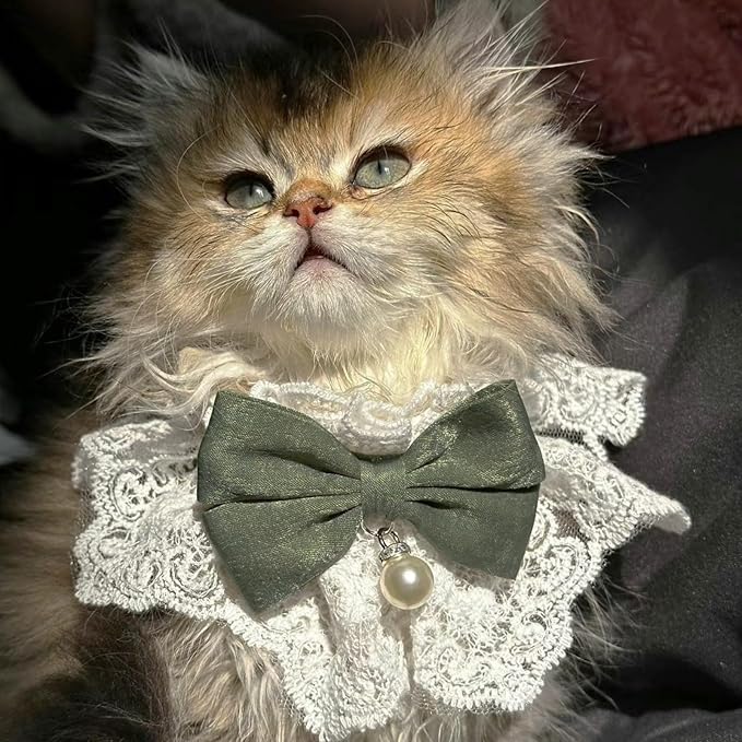 Elegant Lace Cat Collar with Cute Bow,Kitty Necklace with Bow Tie and Pearl,Pet Lace Bib Collar with Cute Bow,Cat Princess Costumes,Green,1 Piece