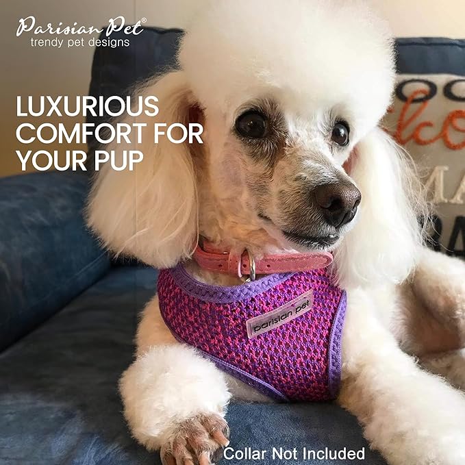 Parisian Pet Girl Dog Harness - Soft Padded Purple/Pink Dog Vest Harness - 100% Mesh Fabric Dog Harness Small-Sized Dog - Cooling Dog Harness for Walking, Running, and Hiking - Puppy Harness - XS