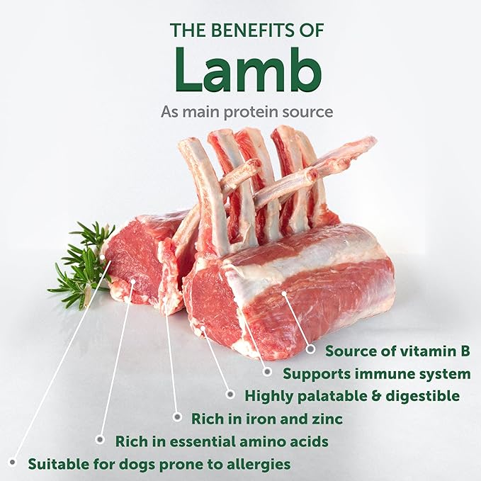 Nature's Protection Superior Care Grain-Free Dry Dog Food - High Protein, Coat Shine Dog Food for All Breeds Red Coated All Life Stages Dogs, Fresh Pet Meal, Lamb, 22 lb