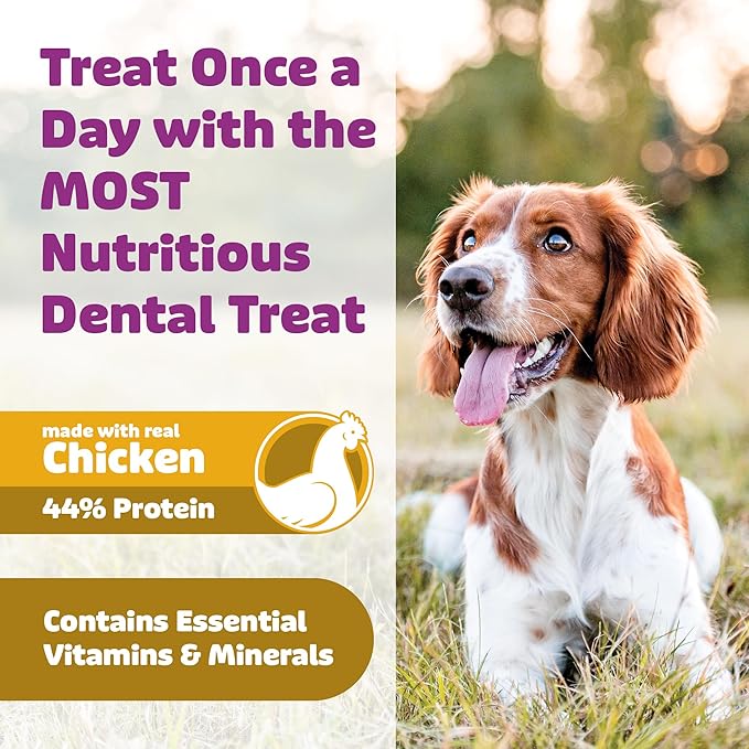 Yummy Combs Dog Dental Treats – Vet VOHC Approved – Delicious Chicken Protein – Removes Tartar with Cleaning Comb Shape – Dental Dog Treats for Small Dogs (36oz, 63 Count)