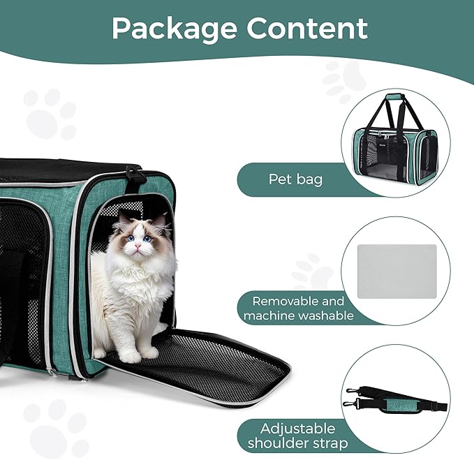 BAGLHER Pet Travel Carrier, Cat Carriers Dog Carrier for Small Medium Cats Dogs Puppies, Airline Approved Small Dog Carrier Soft Sided, Collapsible Puppy Carrier. Green