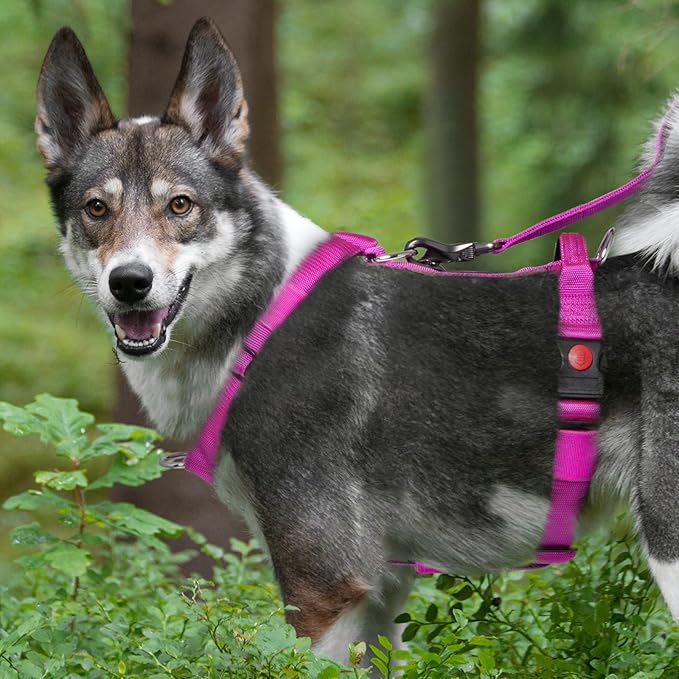 TSPRO Premium Heavy Duty Dog Harness, Adjustable Tactical Dog Harness for Large Dogs with Quick-Release Buckle and Comfortable Soft Handle for Outdoor Walking and Running (Purple S)