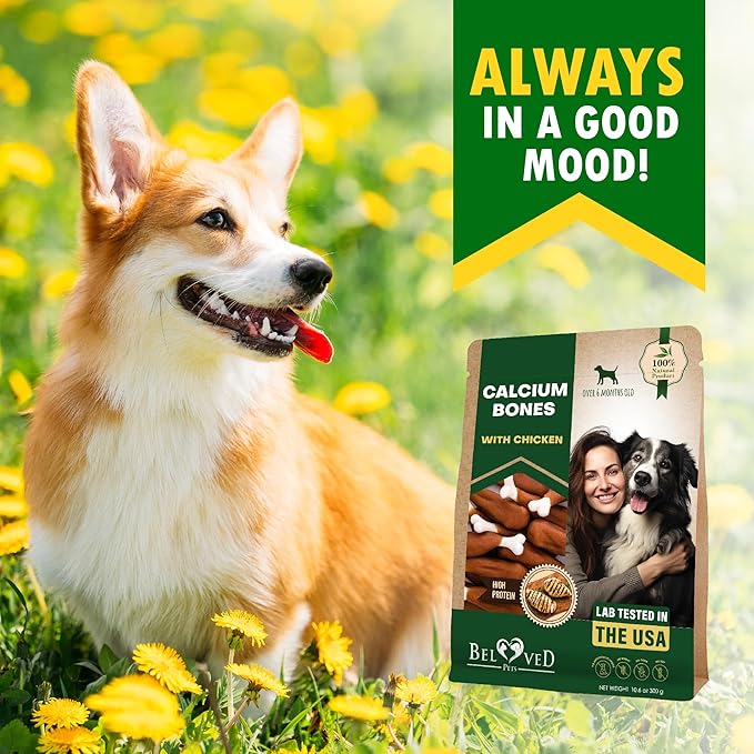 Beloved Pets Dog Treats, Calcium Bones Wrapped Chicken & Rawhide Free Chew 11Oz - Pet Healthy Dried Snacks & Grain Free Meat - Bulk Best Chews for Christmas, Training Small & Large Dogs - Made for USA