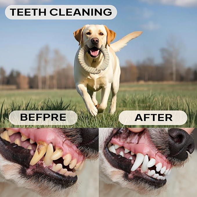 PetiFine Chew Toys for Dogs 4 Pack, Dog Rope Toy for Aggressive Chewers, Interactive Rope Ball Natural Cotton, Dog Tug of War Toy for Teeth Cleaning