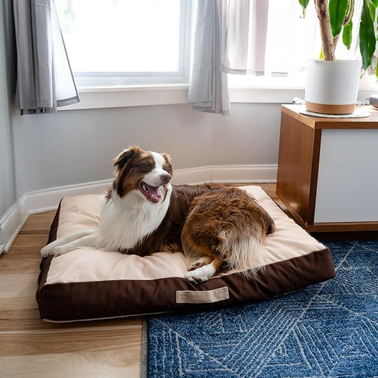 Rawry Orthopedic Dog Bed | Memory Foam Dog Bed with Handle | Water-Resistant, Machine Washable Cover | Floor Cushion for Cats, Dogs & People - Tan/Brown (X-Large - 40" x 30")