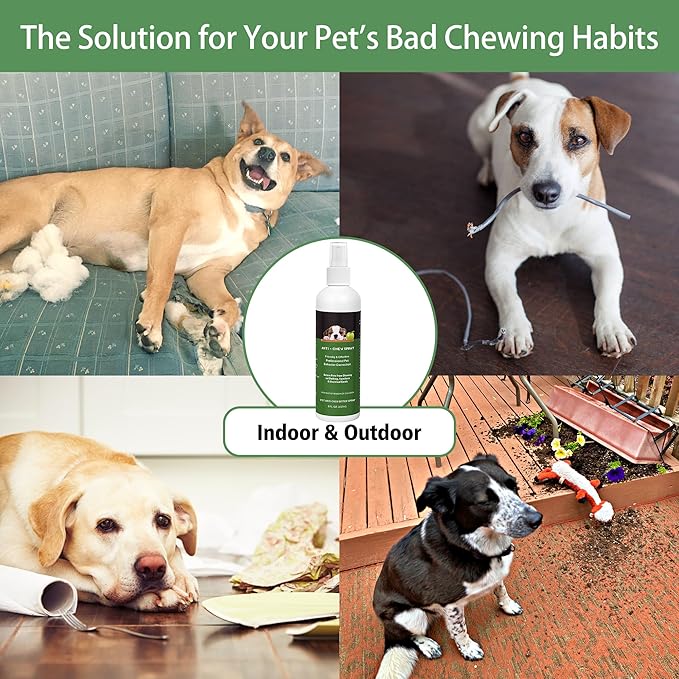 No Chew Spray for Dogs, Bitter Spray for Dogs to Stop Chewing Licking of Furniture Shoes, Natural Dog Deterrent Spray for Anti Biting, Puppy Dog Training & Behavior Aids Spray