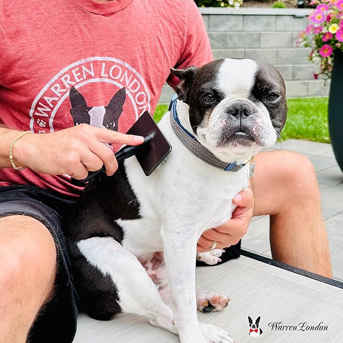 Warren London Gentle Touch Slicker Brush for Puppies & Small Dogs – 4" x 2" Soft Pin Grooming Brush – Tangle Remover for Sensitive Skin – Compact, Lightweight & Easy to Use