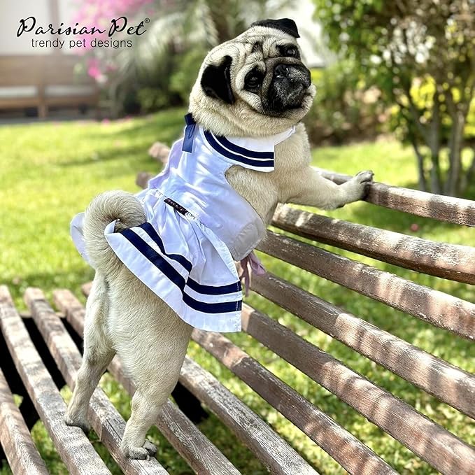 Parisian Pet Dog Dress - Lightweight Sailor Outfit - Breathable Summer Clothes - Pure Cotton White and Blue Dress - XS for Small Dogs Girl