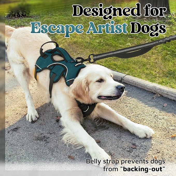 rabbitgoo Escape Proof Dog Harness, Soft Padded Full Body Pet Harness, Reflective Adjustable No Pull Vest with Lift Handle and Leash Clip for Large Dogs Walking Hiking Training, Dark Green, XL