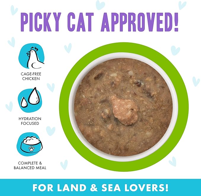 Weruva B.F.F. OMG - Best Feline Friend Oh My Gravy!, Selfie Cam! with Chicken & Lamb in Gravy Cat Food, 2.8oz Can (Pack of 12)