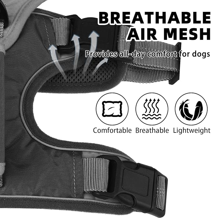 PUPTECK Escape Proof Dog Harness and Leash Set Upgraded No Pull Reflective Dog Vest with Lift Handle, Easy Control Pet Harness for Medium Large Dogs Training Walking Running