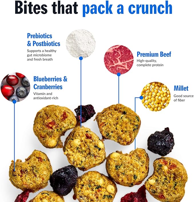 PetPlate Trail Blazin' Beef FreshBaked Dry Dog Food Grain-Inclusive, Gently Baked and Air-Dried Human Grade Dog Food, Formulated with Prebiotics and Postbiotics, No Fillers or by-Products, 2lbs