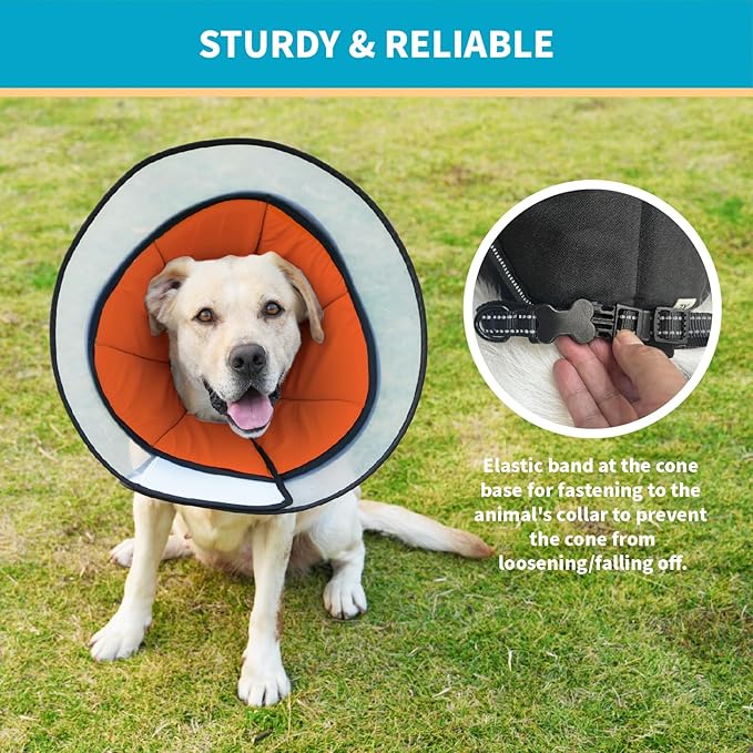 Pet Dog Cone Collar to Stop Licking, Soft Comfy Cones for Large Medium Small Dogs After Surgery, Cone of Shame for Dogs Head Neck Elizabethan Collar-Orange-M