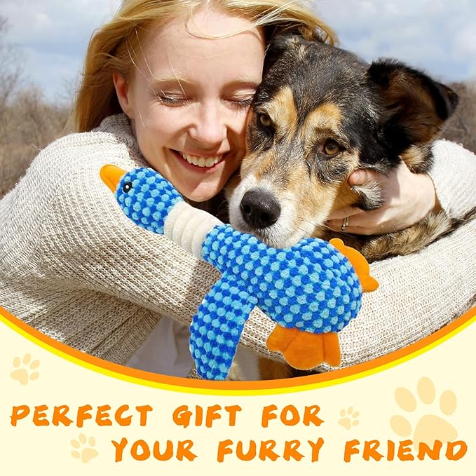 DAJOOEE 2 Pack Duck Squeaky Dog Toys Durable Dog Toys Puppy Toys for Large Medium Small Dogs