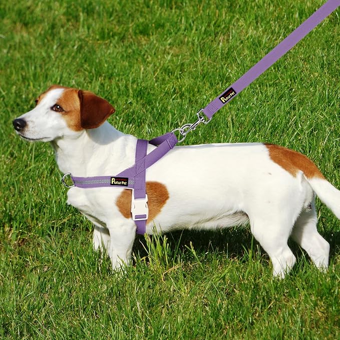 Plutus Pet Cotton Dog Harness and Leash Set, Reflective and Soft Padded, Quick Fit Vest Harness, for Small, Medium and Large Dogs, Medium Purple, M