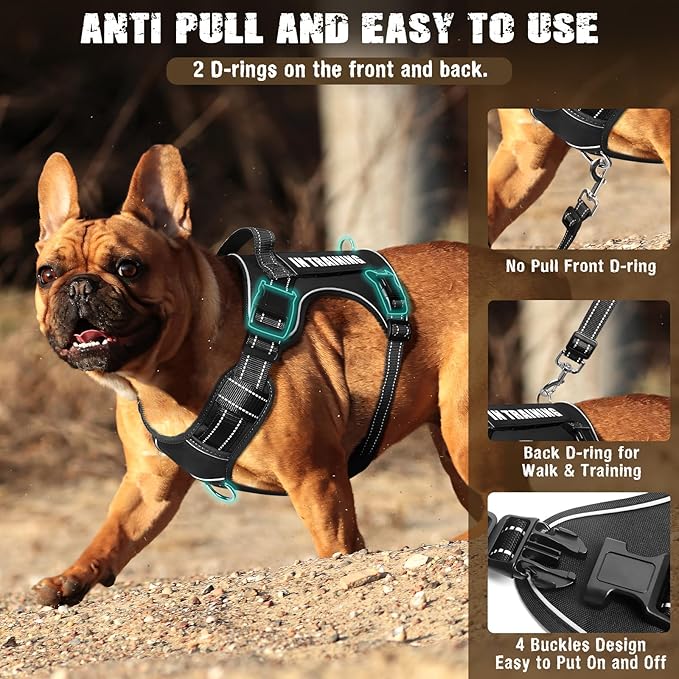 Tactical Dog Harness and Leash Set Small Sized Dog,Heavy Duty No Pull Service Dog Vest and 10 Patches with Dog Seat Belt,Reflective Adjustable Pet Harness for Training Walking Hiking Black S