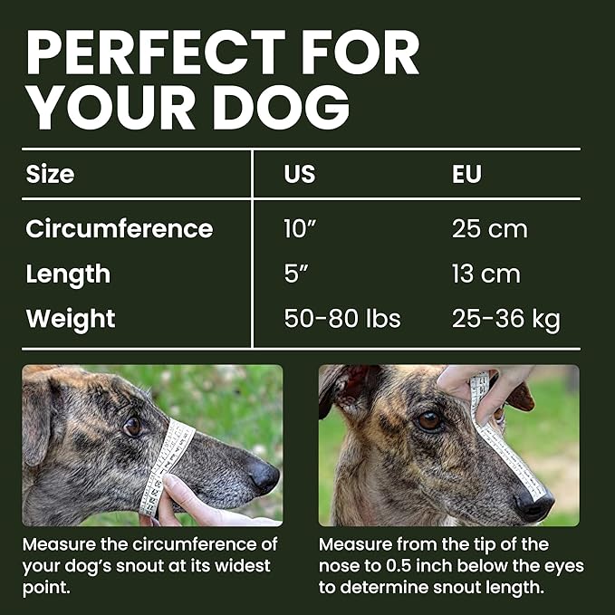 BRONZEDOG Dog Muzzle Wire Basket Metal Mask for Small, Medium and Large Dogs, Breathable, Dog can Drink, Adjustable, Padded, Training, Prevents Biting (Size 8: Greyhound & Collie)