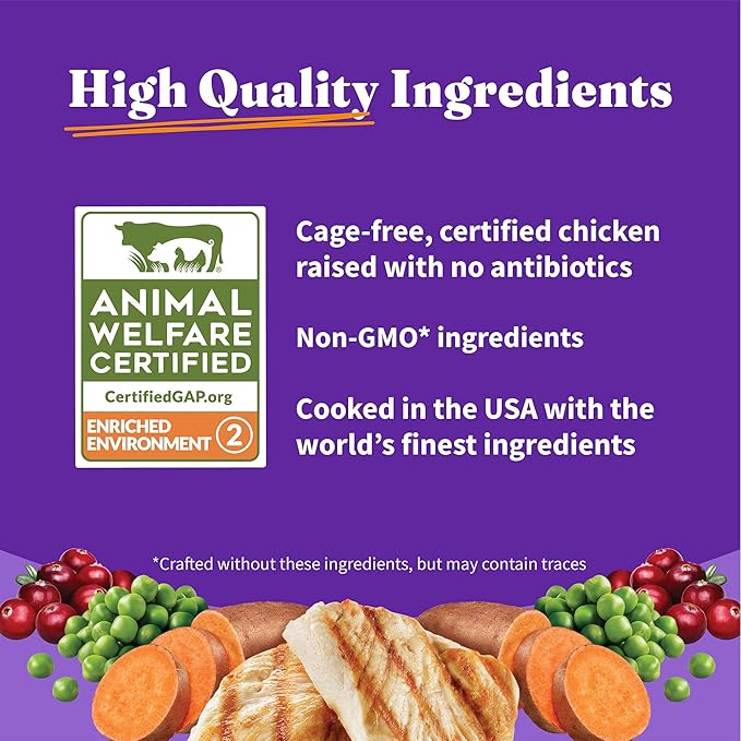 Halo Holistic Cage Free Chicken Cat Food, Grain Free Dry Cat Food, For Healthy Weight Support, Kibble for Indoor Cats, 6 lb Bag